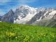 Courmayeur in the Summer: Things to Do When the Snow Melts Courmayeur in the Summer